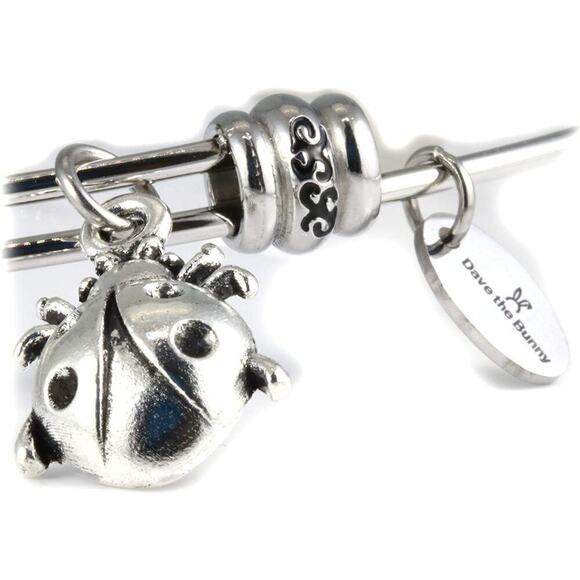Lady Bug Bracelet - Ladybugs Jewelry Stainless Steel - Picture 1 of 9